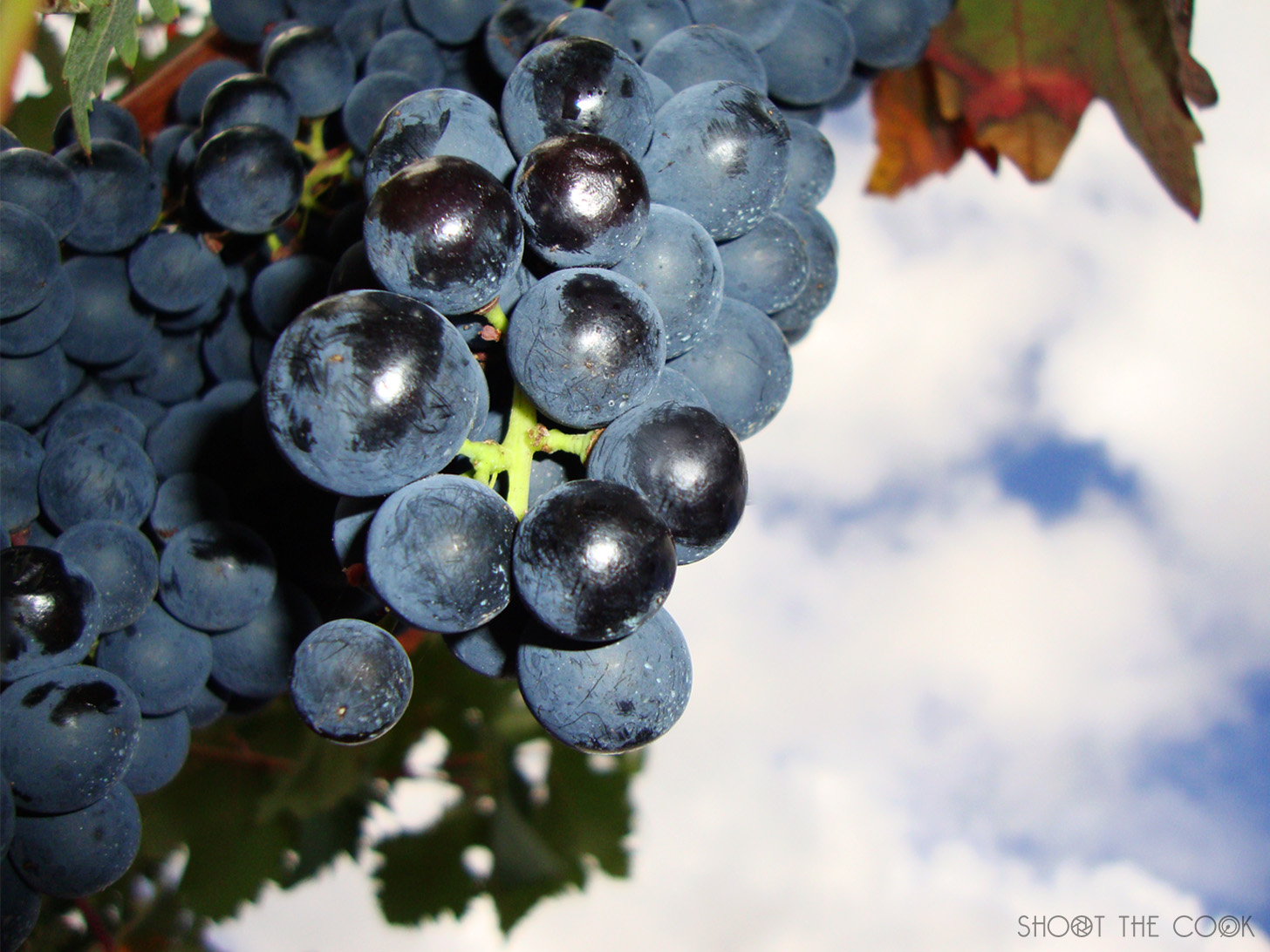 Recetas con uvas