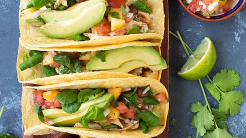 Tacos de pollo braseado con pico de gallo